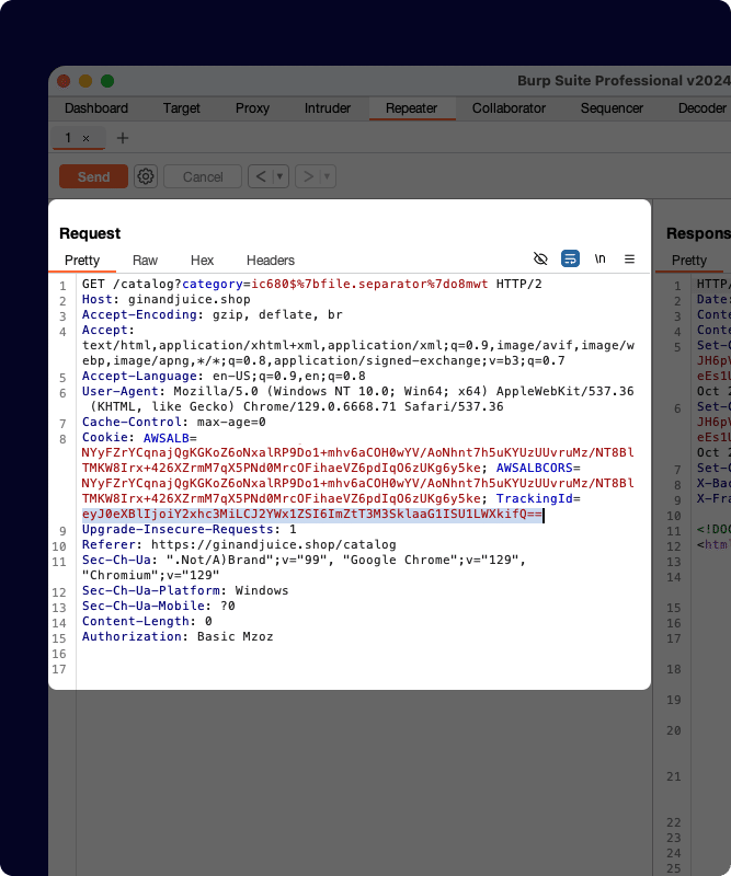 Burp Suite Professional сұрау редакторы