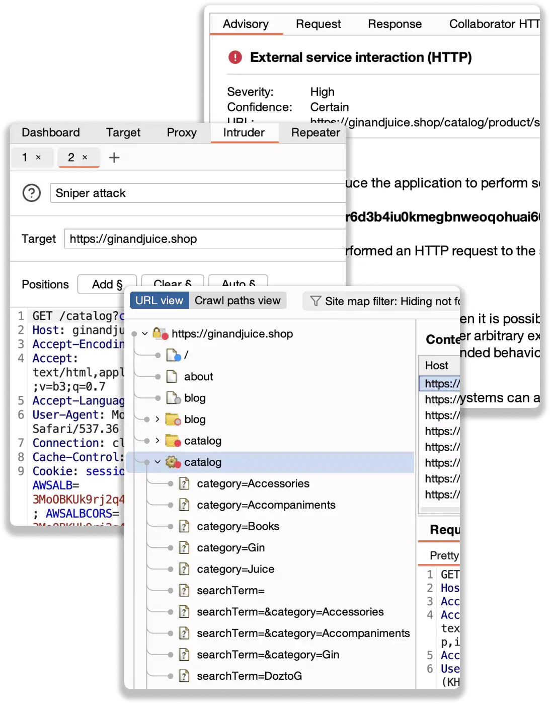 Burp Suite Professional жұмыс барысы